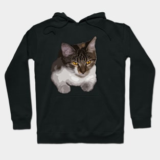 cute cat with stranges eyes Hoodie